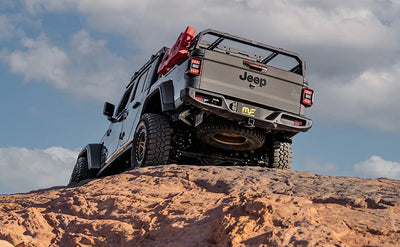Explore Further
